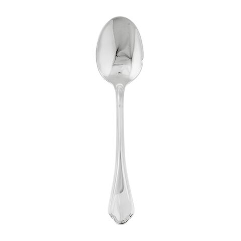 French sauce spoon