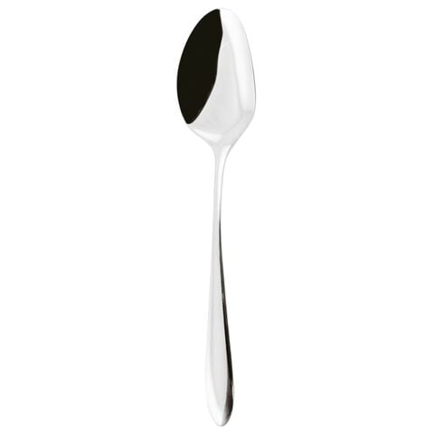 French sauce spoon