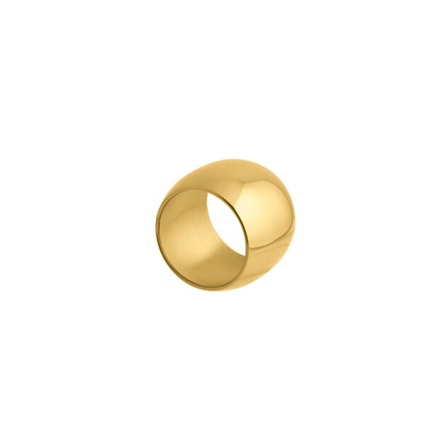 Napkin ring  image number 0