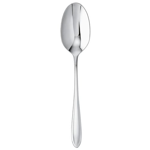 Serving spoon 