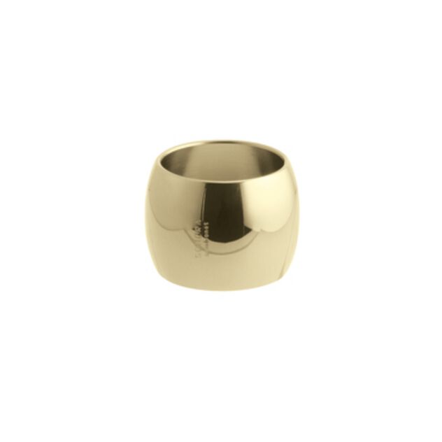 Napkin ring  image number 1