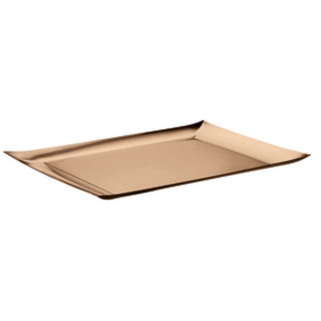 Tray  image number 0