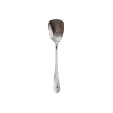 Ice cream spoon 