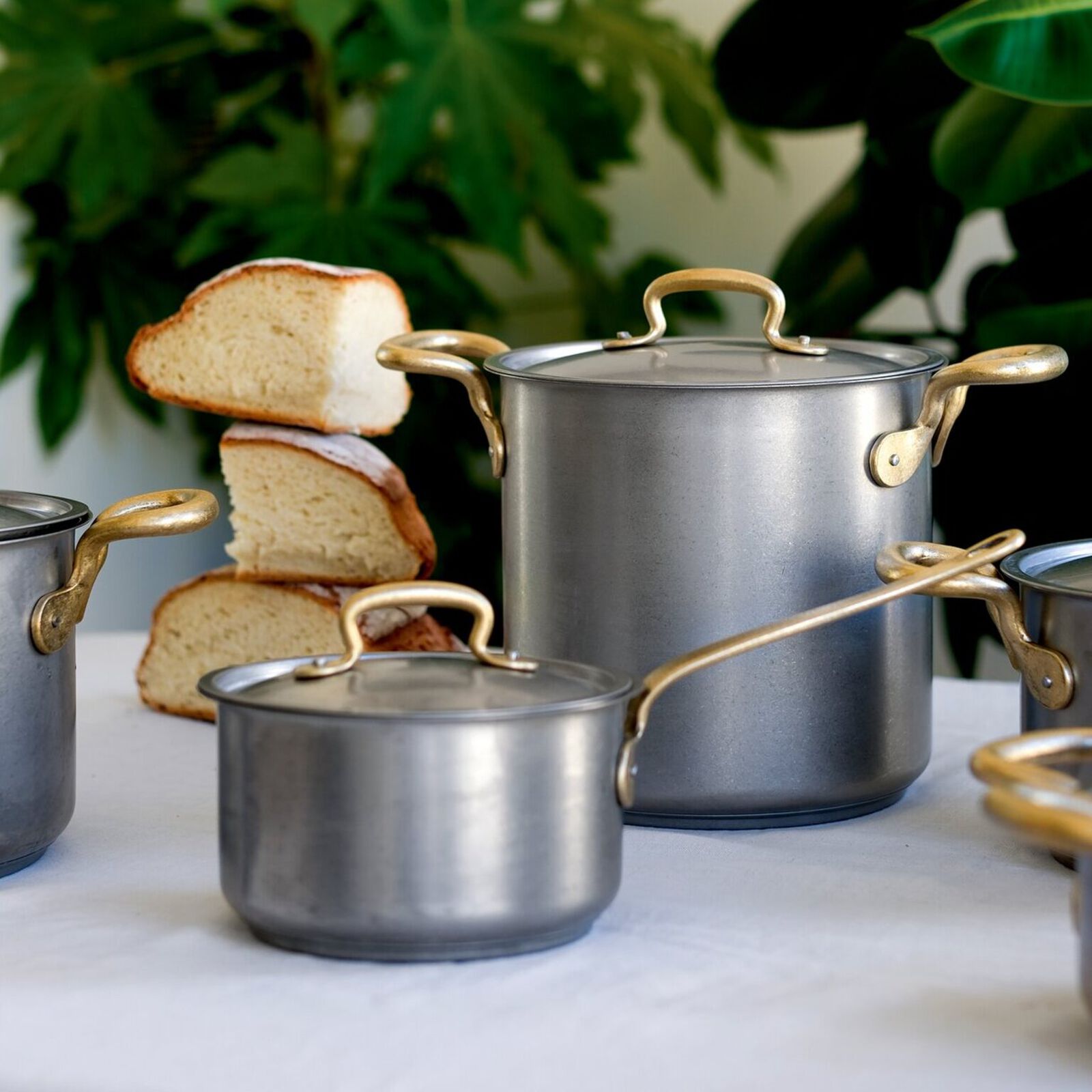 Stock pot  image number null