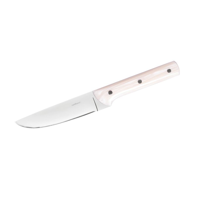 The best steak knives for home use